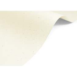 Papier Curious Particles 120g - Natural Lily Flower jasny kremowy A4