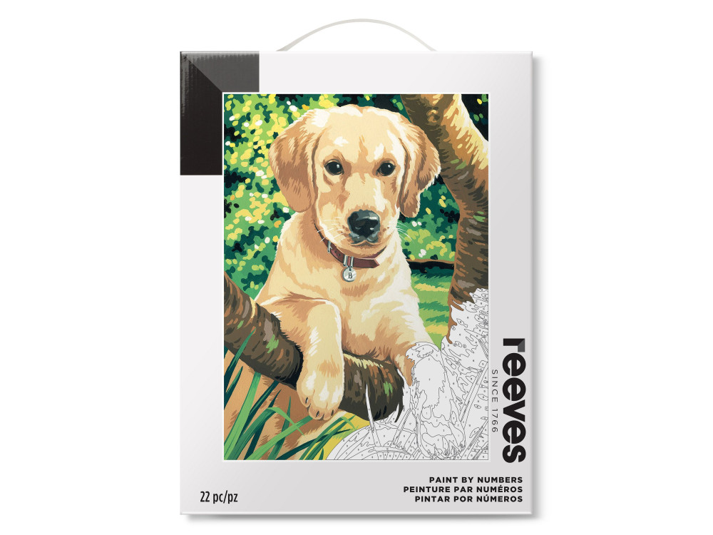Zestaw do malowania po numerach - Reeves - Labrador