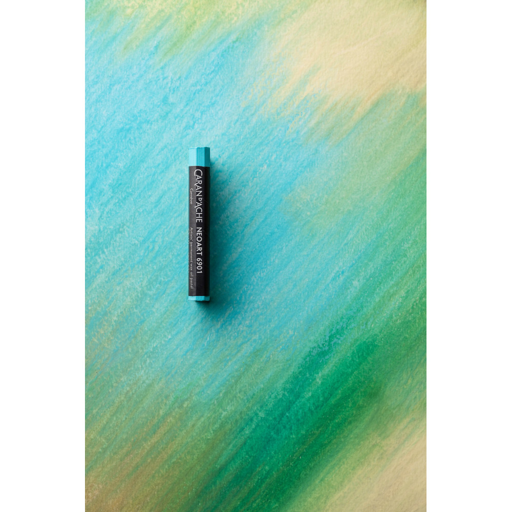 Zestaw pasteli woskowo-olejnych Neoart 6901 - Caran d'Ache - 24 kolory