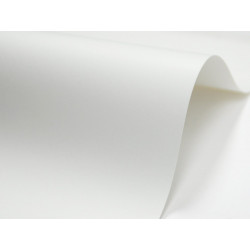 Bio Top 3 Paper 250g - Next, A4