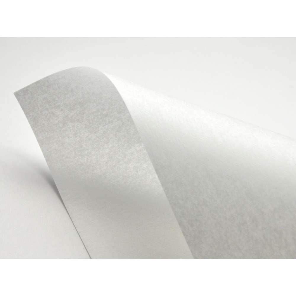 Pergamenata Paper 230g - Bianco white A4 20