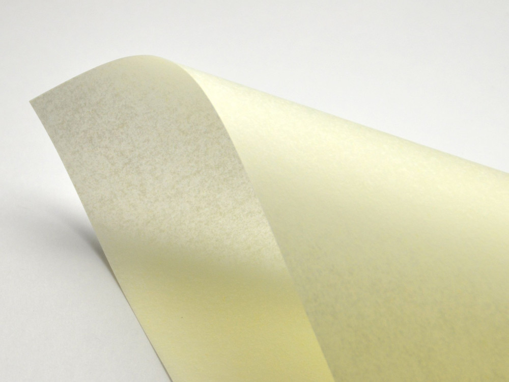 Pergamenata Paper 230g - Naturale, A4, 20 sheets