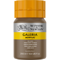 Acrylic paint Galeria - Winsor & Newton - 554, Raw Umber, 250 ml