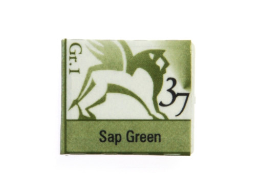 Watercolors in half pans - Renesans - 37, sap green, 1,5 ml