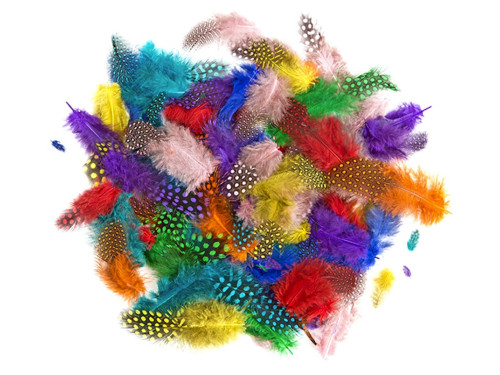 Pheasant feathers - colorful, 6 g