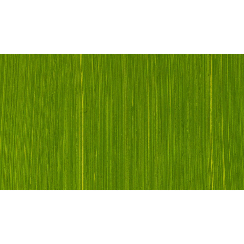 Farba olejna - Michael Harding - 412, Cadmium Green, 40 ml