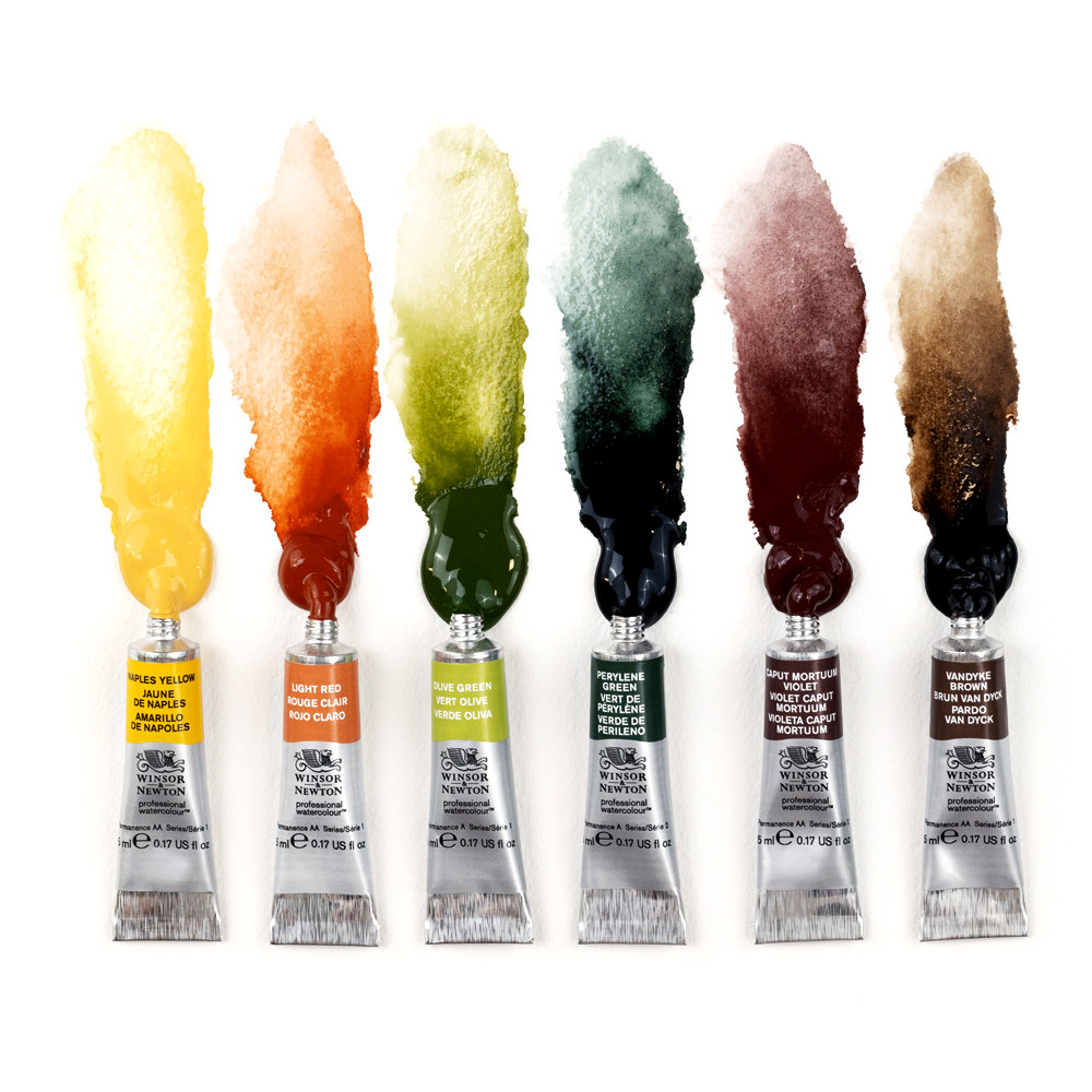 Zestaw akwareli Professional Rich Earth - Winsor & Newton - 6 x 5 ml