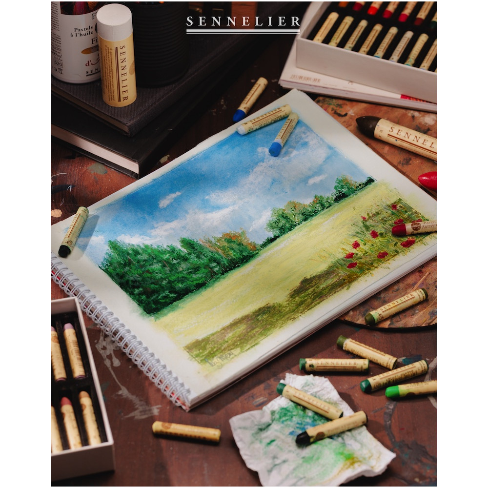 Artist' Oil Pastel - Sennelier - 223, Cold Grey