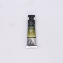 l’Aquarelle watercolor paint - Sennelier - 819, Sap Green, 10 ml