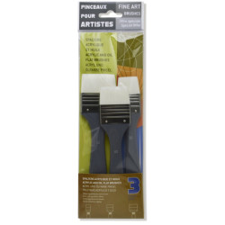 Fine Art acrylic and oil synthetic brush set - Raphael - 3 pcs.