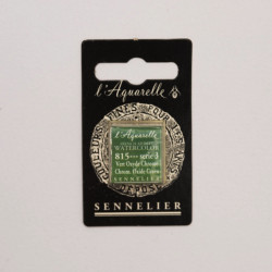 l’Aquarelle watercolor paint half pan - Sennelier - 815, Chromium Oxide Green
