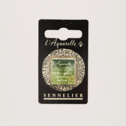 l’Aquarelle watercolor paint half pan - Sennelier - 819, Sap Green
