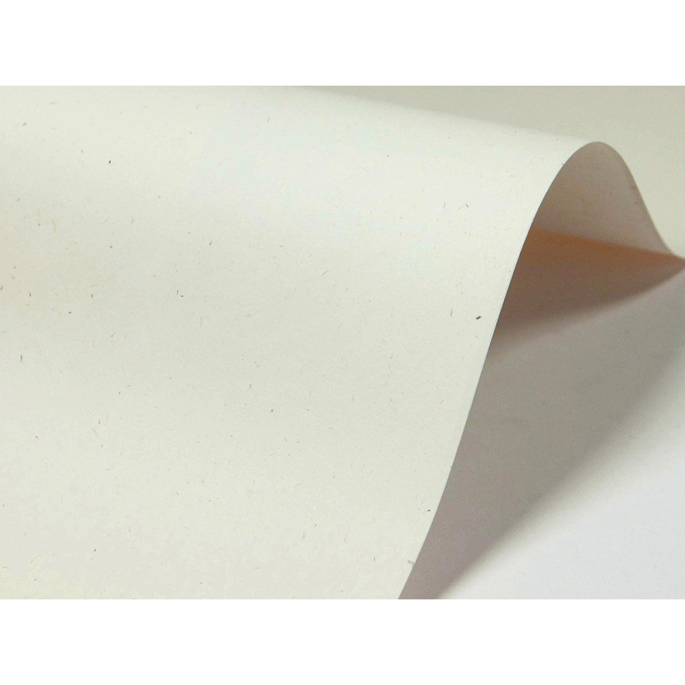 Papier Freelife 120g - kremowy Kendo A4