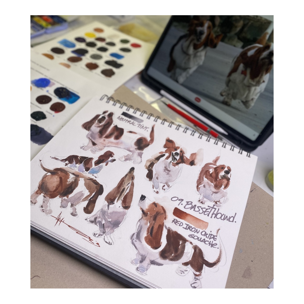 Extra Fine Gouache paint - Daniel Smith - Raw Umber 15 ml