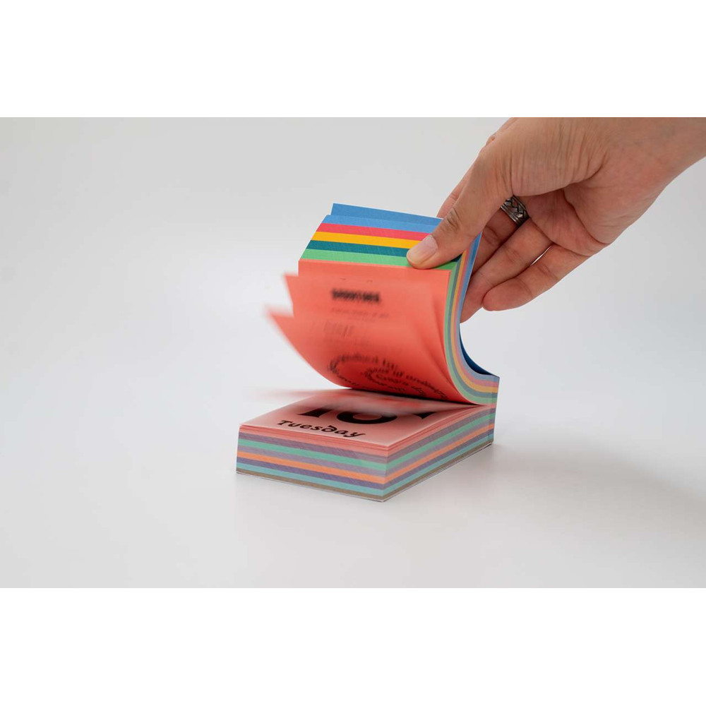 Kalendarz Typodarium 2026