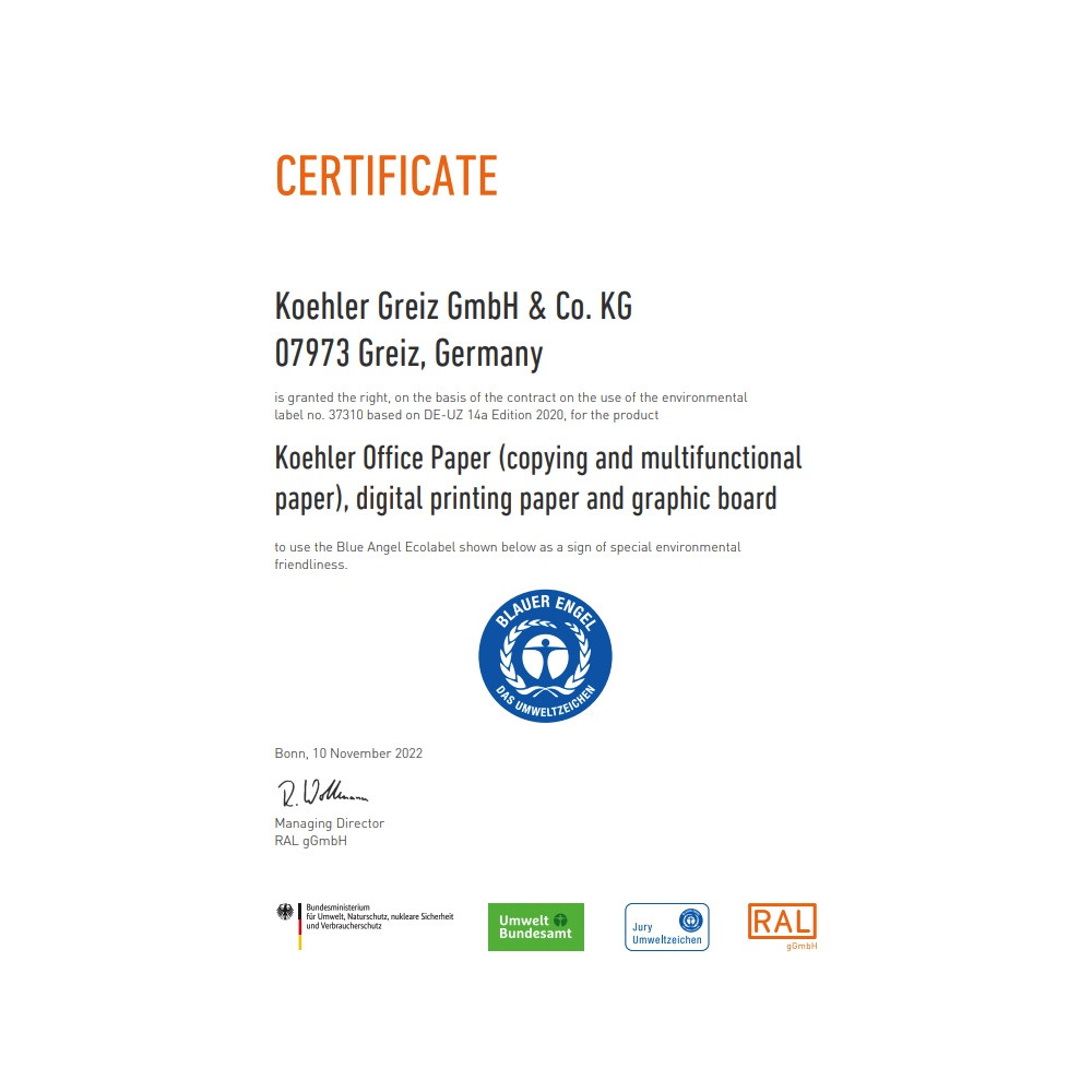 Koperta Koehler Eco 120 g - Koehler - DL Sage szałwiowa