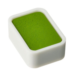 Shin-Gansai watercolor paint pan - Holbein - N310 Light Green