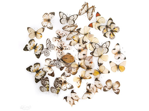 Foil stickers Butterflies - DpCraft - Black & White 40 pcs.