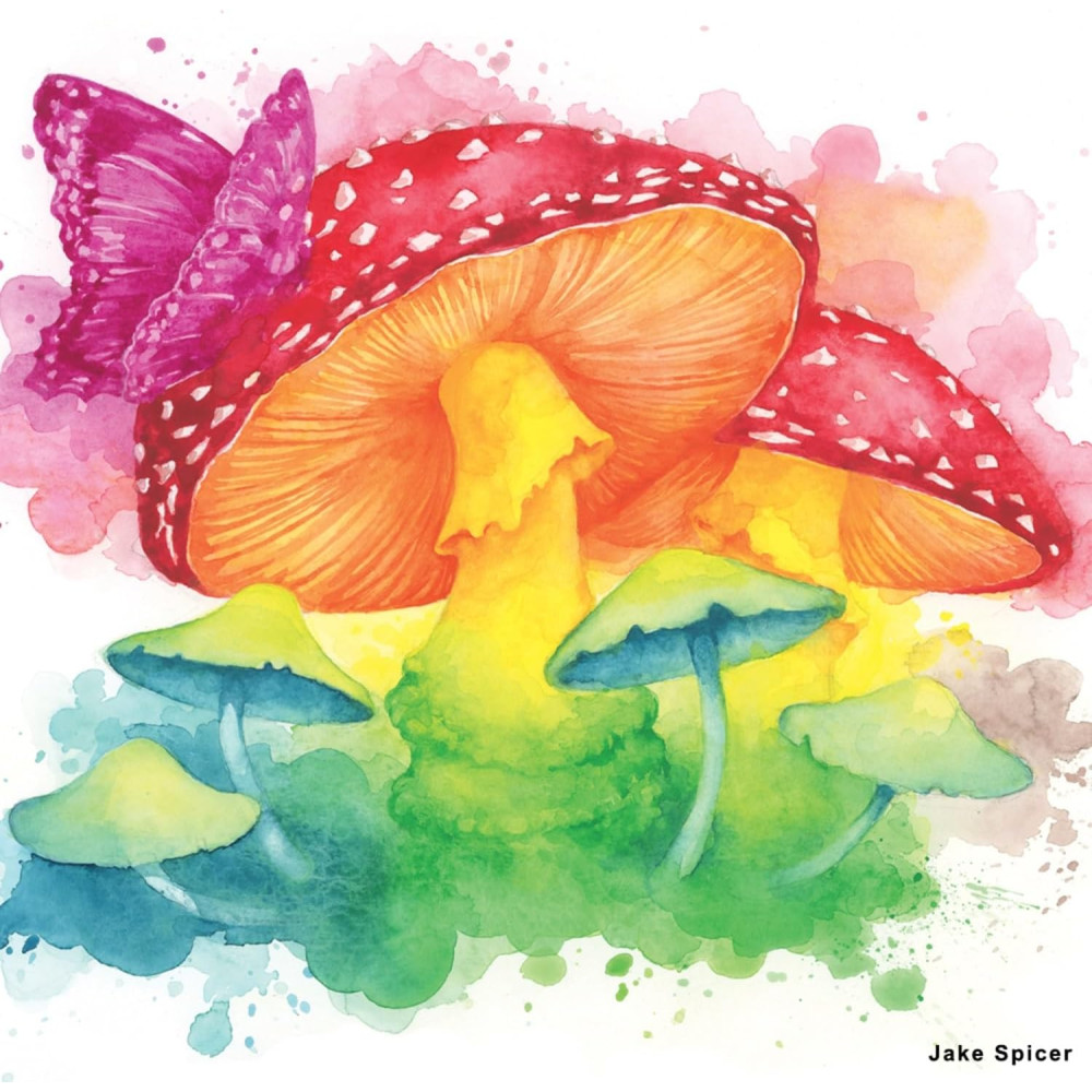 Inktense paint pan set - Derwent - 24 pcs.