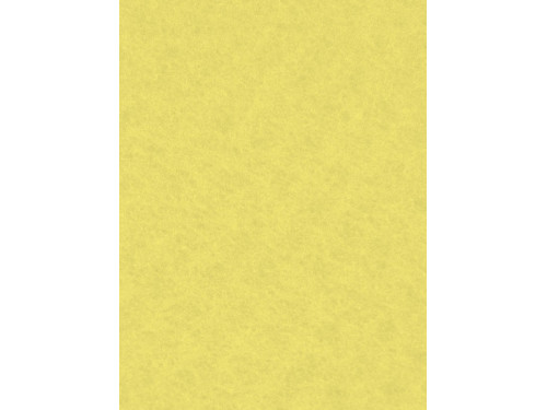 Filc ozdobny - Knorr Prandell - lemon yellow, 20 x 30 cm