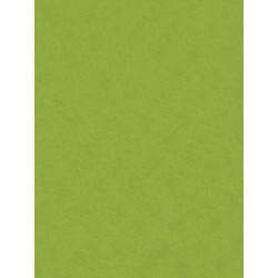 Filc ozdobny 20x30 cm Lime Green