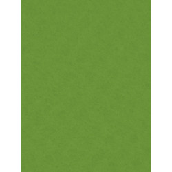 Decorative felt - Knorr Prandell - may green, 20 x 30 cm