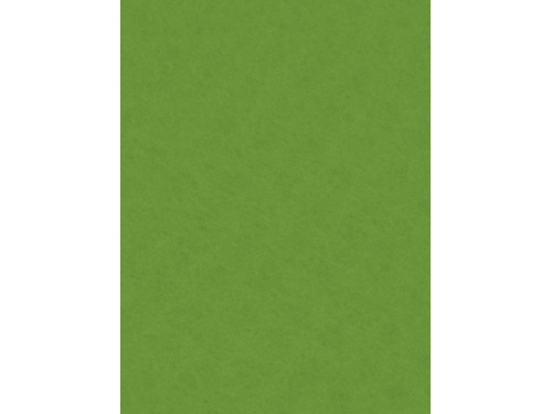 Decorative felt - Knorr Prandell - may green, 20 x 30 cm