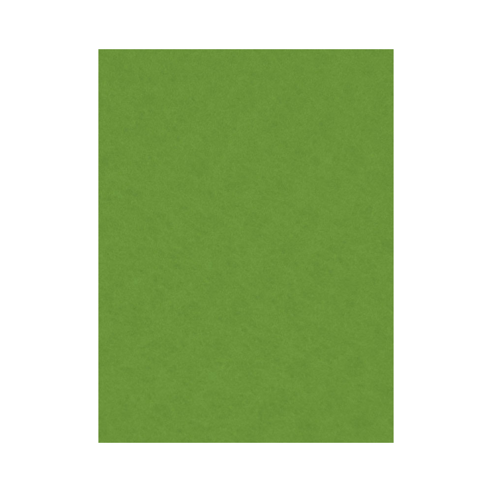 Filc ozdobny - Knorr Prandell - may green, 20 x 30 cm