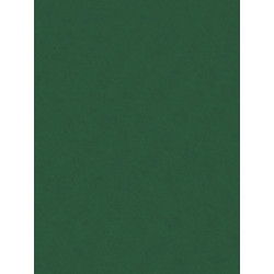 Filc ozdobny - Knorr Prandell - moss green, 20 x 30 cm