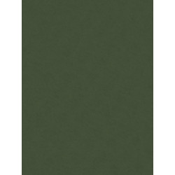 Filc ozdobny - Knorr Prandell - olive green, 20 x 30 cm