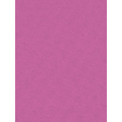 Filc ozdobny 20x30 cm Pink