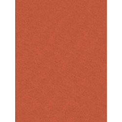 Decorative felt - Knorr Prandell - red orange, 20 x 30 cm