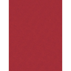 Filc ozdobny 20x30 cm Red