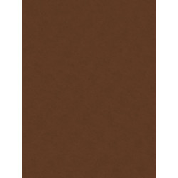 Filc ozdobny 20x30 cm Brown