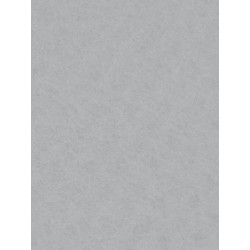Decorative felt - Knorr Prandell - platinum grey, 20 x 30 cm