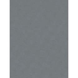 Filc ozdobny 20x30 cm Silver Grey