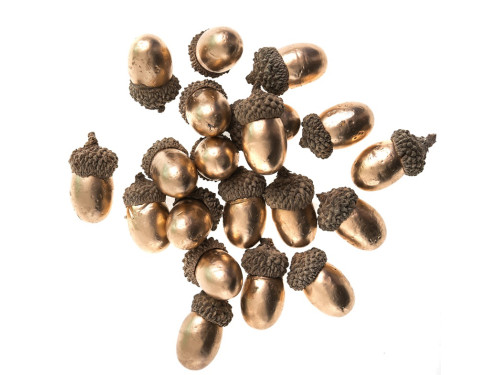 Acorns - DpCraft - gold 20 pcs.