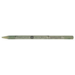 Pastela sucha w kredce Pastel Pencil - Sennelier - 416 Casel Earth