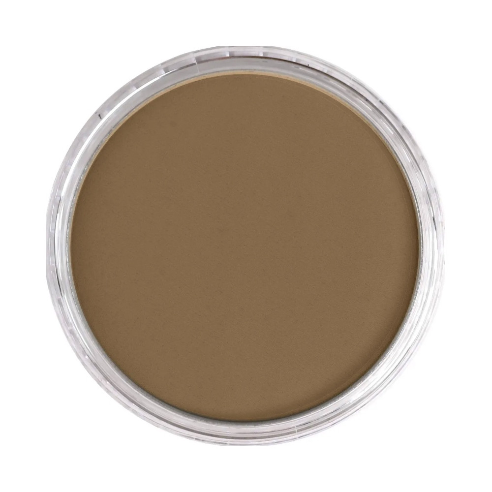 Pastela sucha PanPastel - 780.7 Raw Umber Light