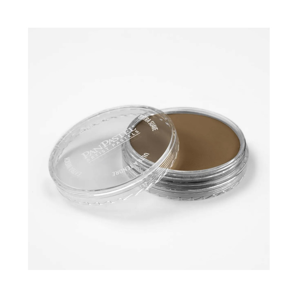 Ultra Soft PanPastel - 780.7 Raw Umber Light