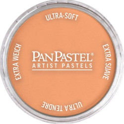 Ultra Soft PanPastel - 740.7 Burnt Sienna Light