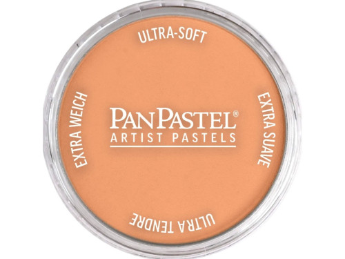 Pastela sucha PanPastel - 740.7 Burnt Sienna Light