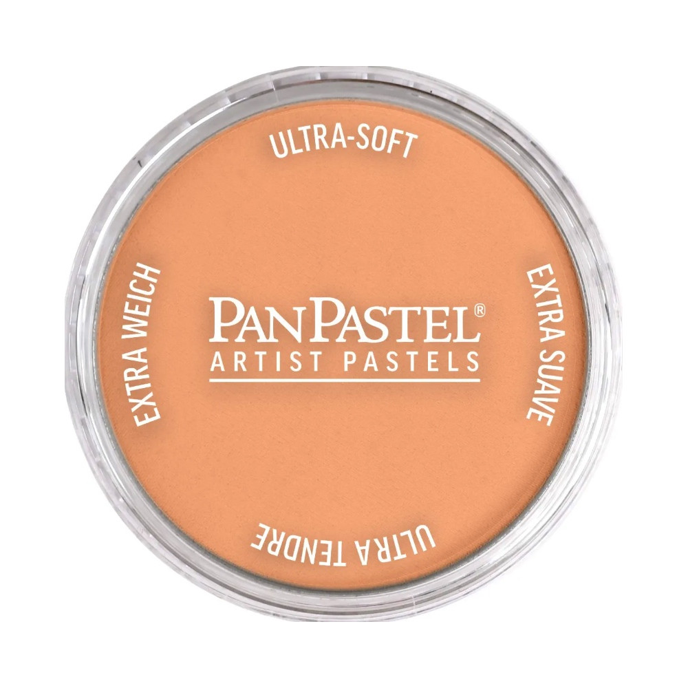 Ultra Soft PanPastel - 740.7 Burnt Sienna Light