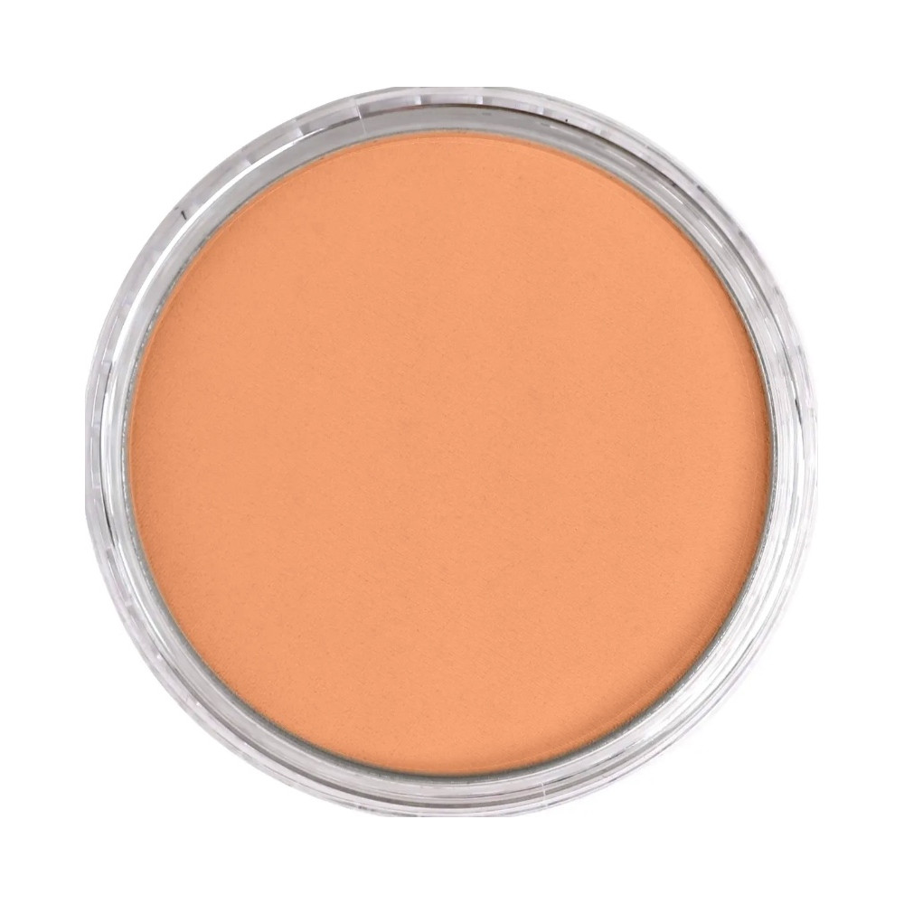 Ultra Soft PanPastel - 740.7 Burnt Sienna Light