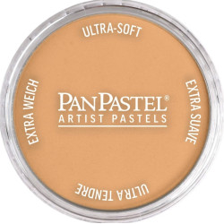 Ultra Soft PanPastel - 710.7 Raw Sienna Light