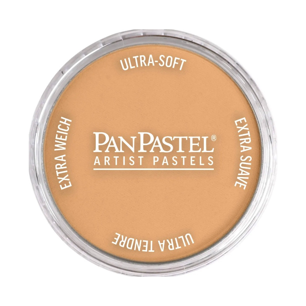Pastela sucha PanPastel - 710.7 Raw Sienna Light