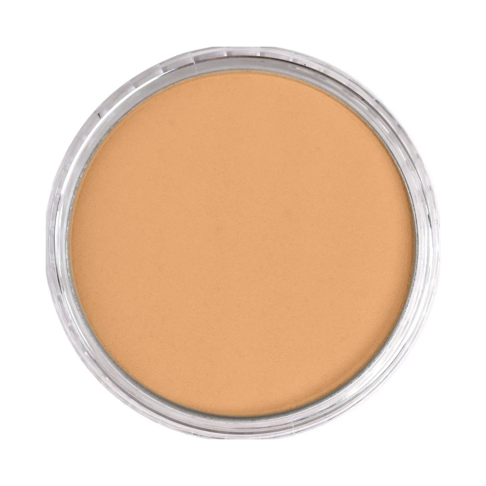 Ultra Soft PanPastel - 710.7 Raw Sienna Light