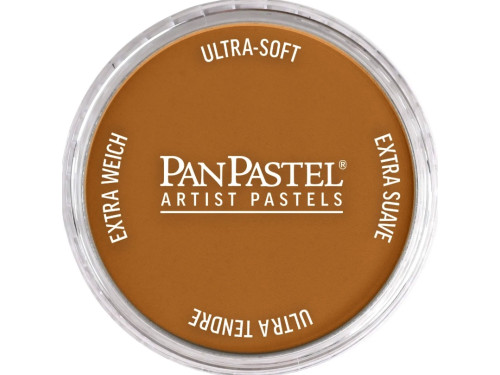 Ultra Soft PanPastel - 710.5 Raw Sienna