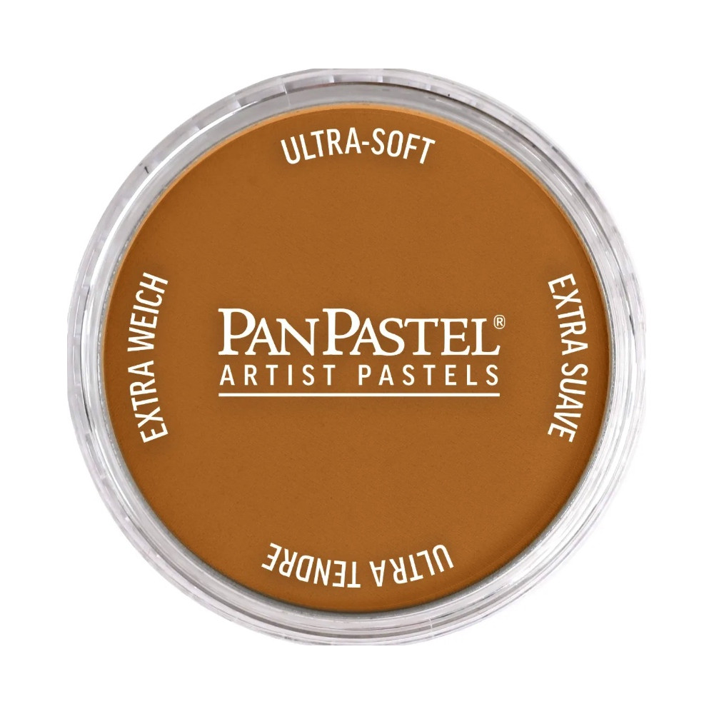 Ultra Soft PanPastel - 710.5 Raw Sienna