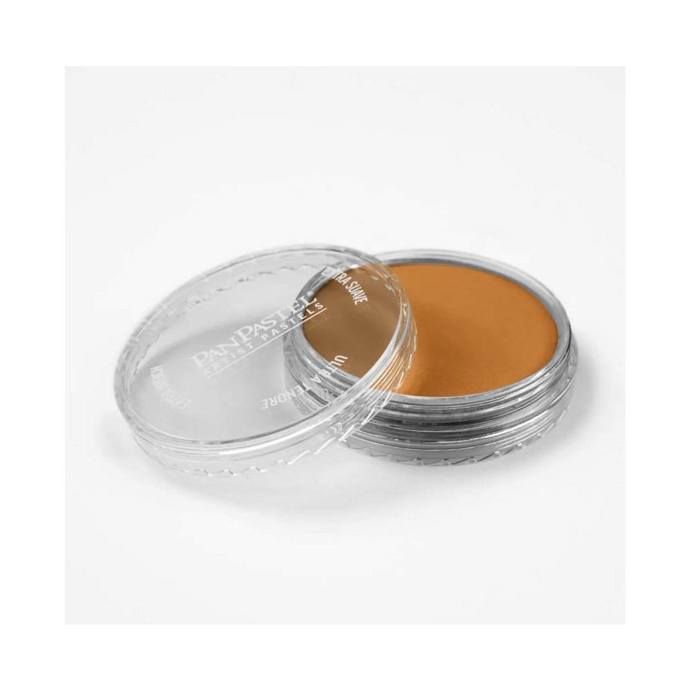 Ultra Soft PanPastel - 710.5 Raw Sienna